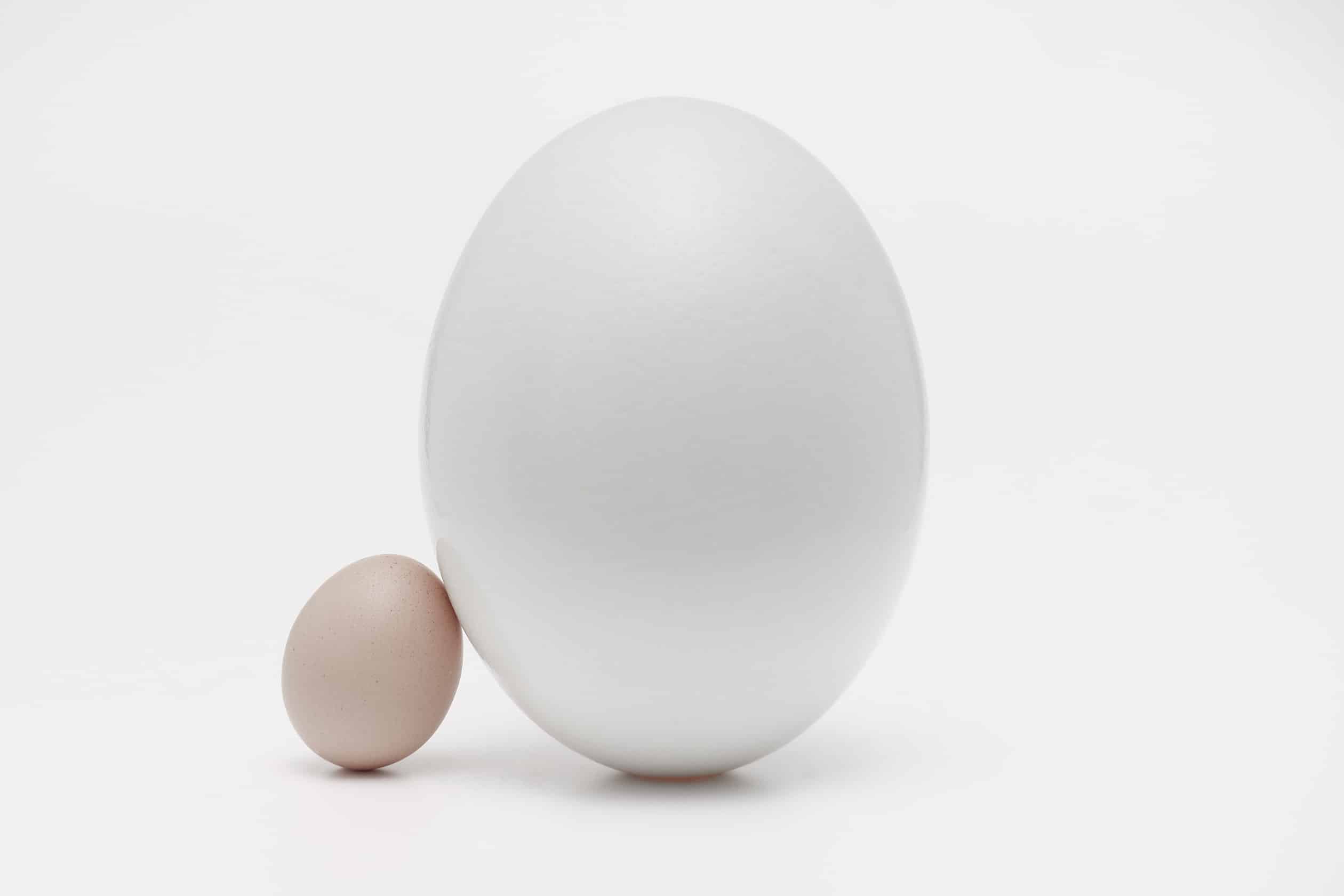 Small is beautiful: the value of a small simulation