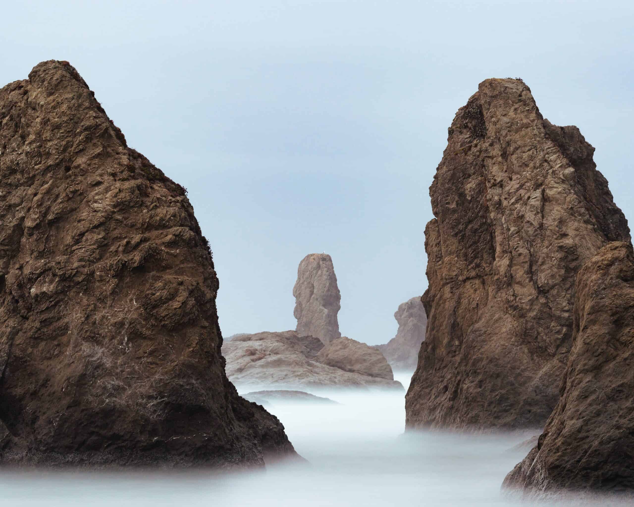 Values Are the Bedrock of Your Organization