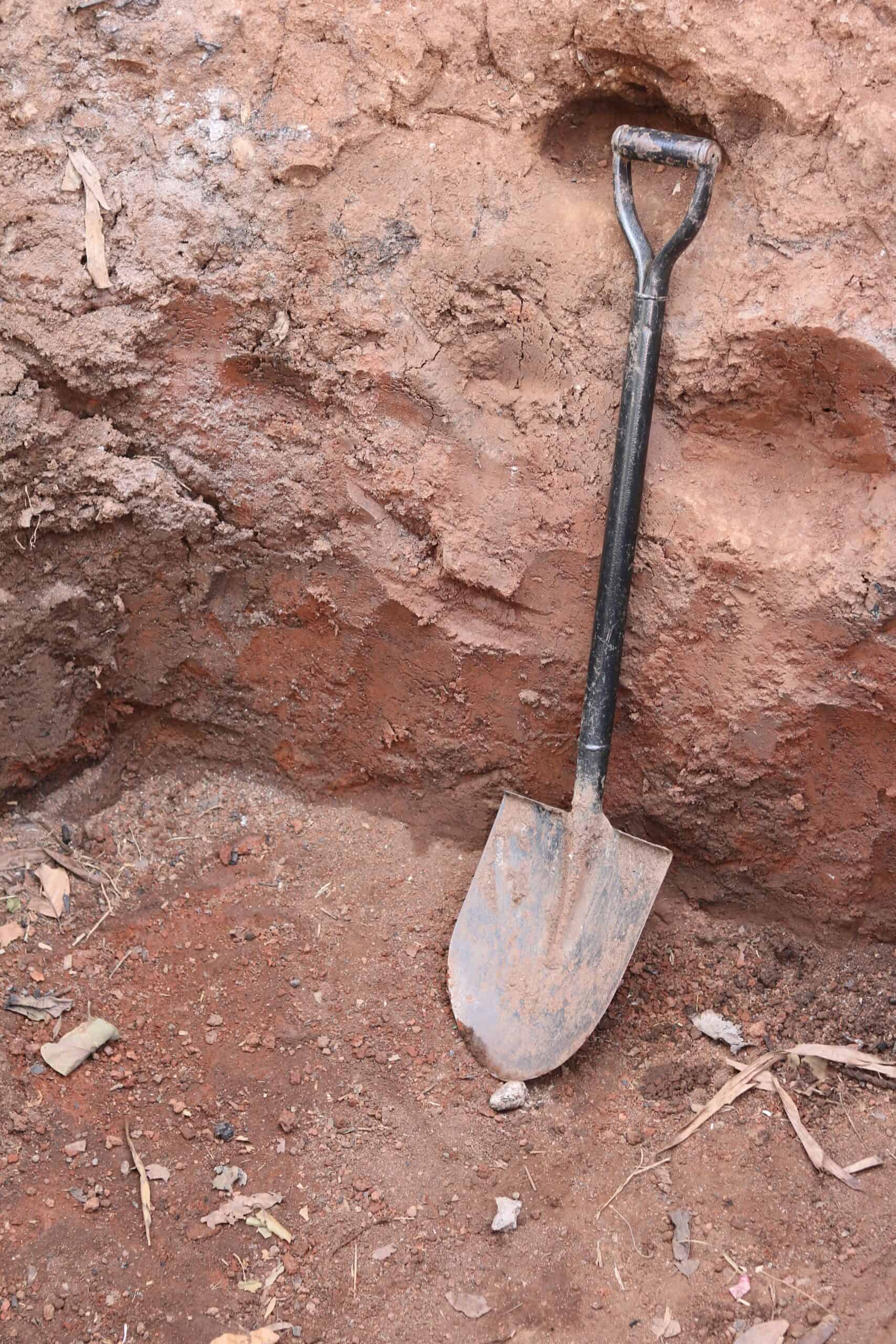 Shovel, image courtesy of Unsplash