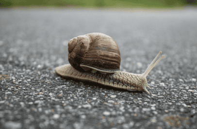 Strategically Speaking, Slow Down
